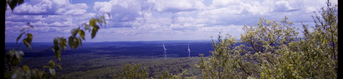 Medium Format Photography