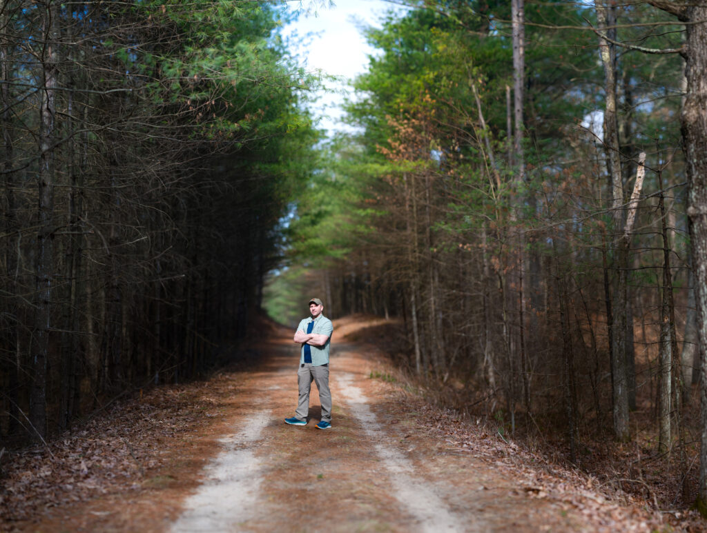 Bokeh Panorama