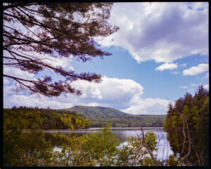 Pentax 6×7 and Kodak Gold 200