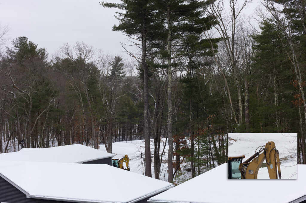 Image taken with the Leica M11-P paired with the Voightlander 50mm f1.1.