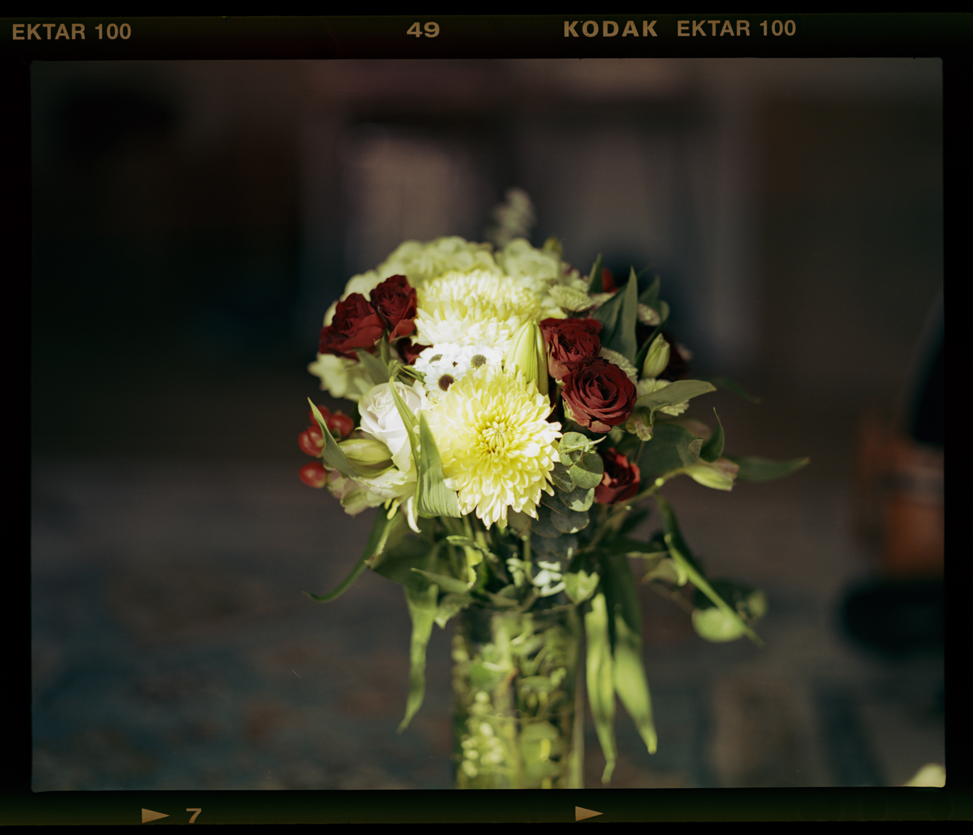 Minimum Focus Distance of Pentax 105mm f2.4