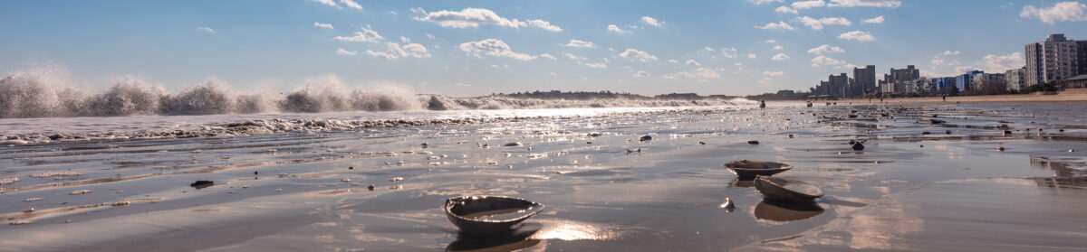 Medium Format Photography