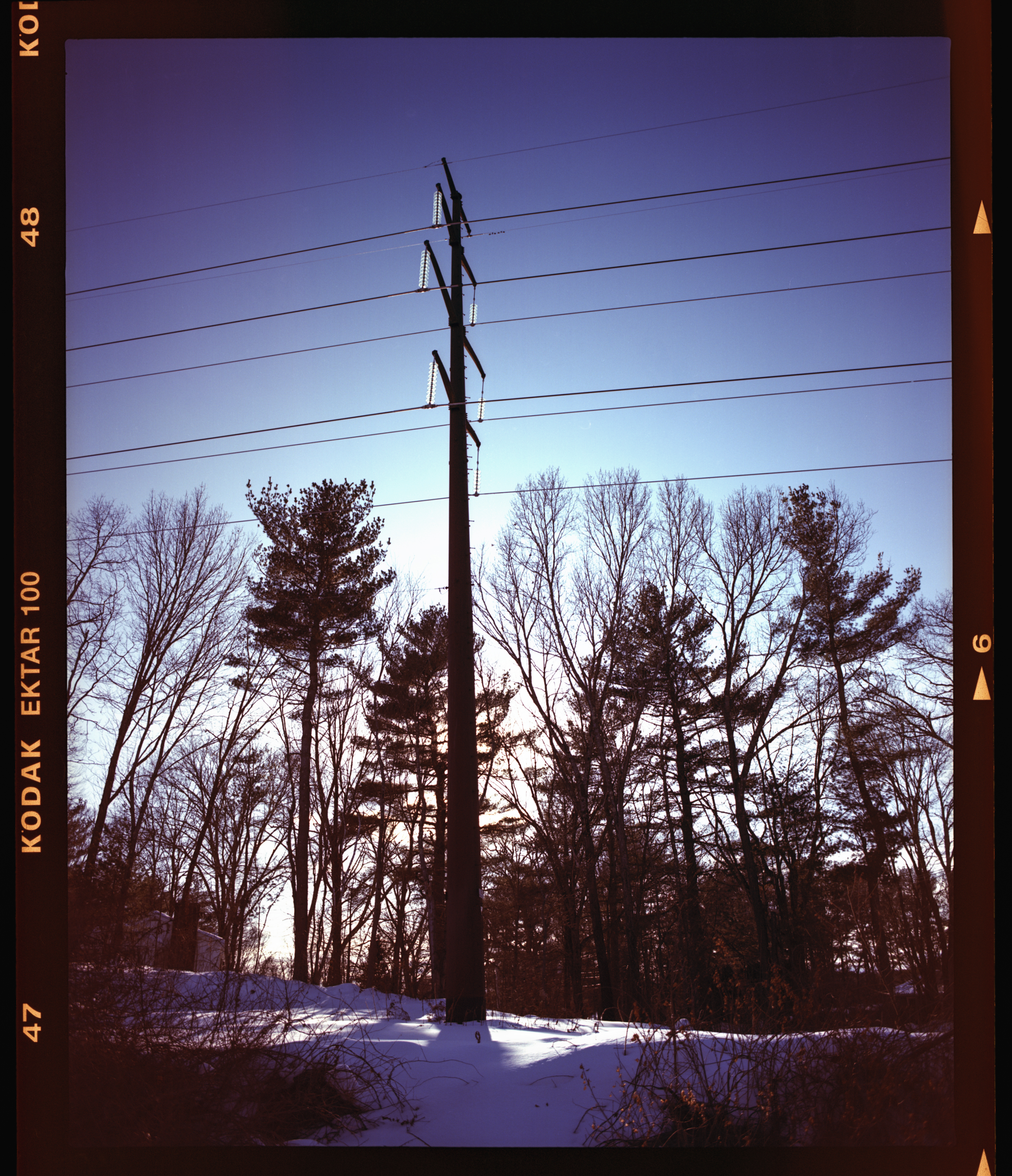 Scene taken with Kodak Ektar 100