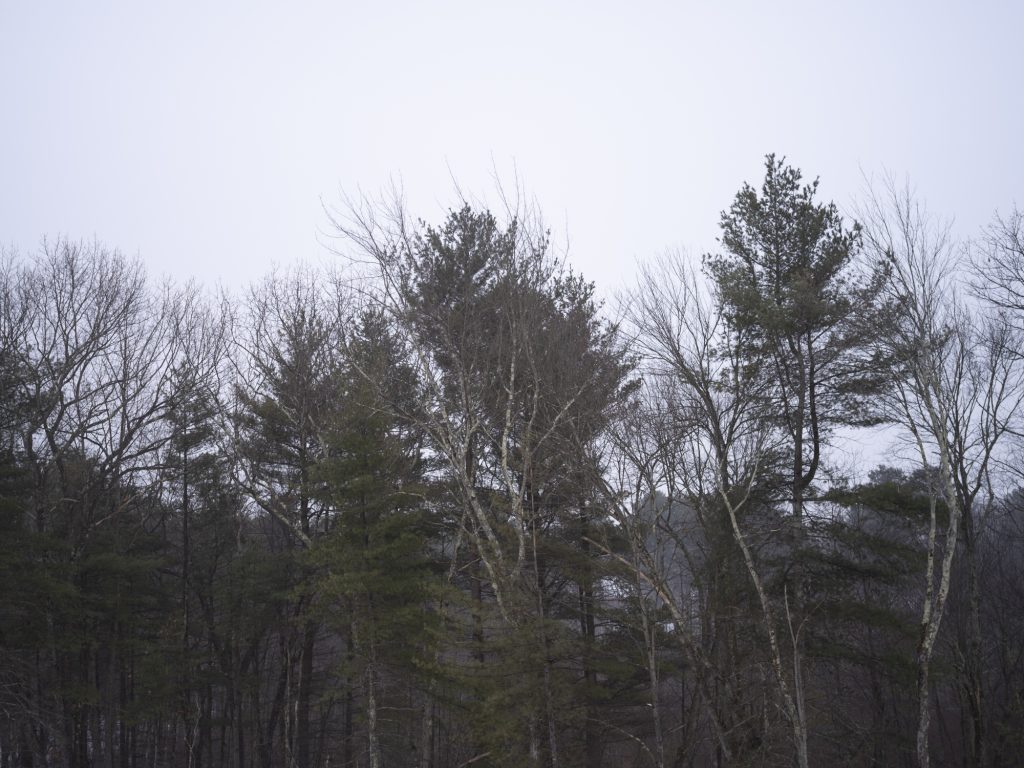 Test shot from Pentax 55mm f4 on the GFX 100s showing lack of vignette.